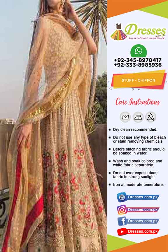 Pakistani Bridal Dresses 2019 Pakistani Dresses Marketplace 