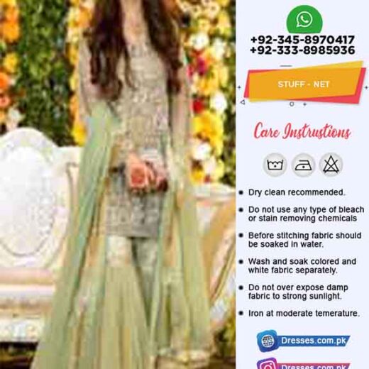 Pakistani Net Dresses Online 2019