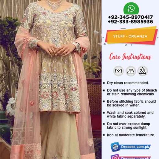 Pakistani Bridal Organza Dresses