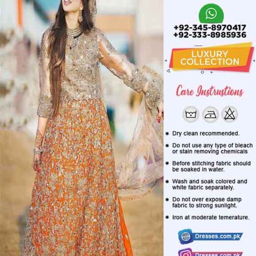 Pakistani Latest Luxury Dress 2019