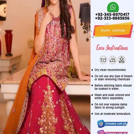 Pakistani Bridal Chiffon Dresses