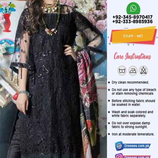 Pakistani Latest Net Dresses 2019