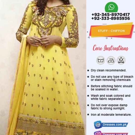 Indian Chiffon Collection 2019
