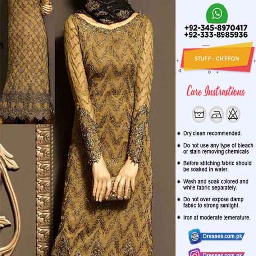 Pakistani Chiffon Dresses Online 2019