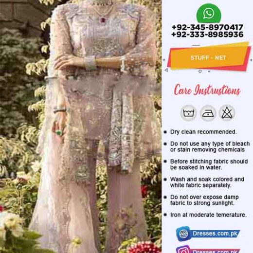 Pakistani Net Dresses Online 2019