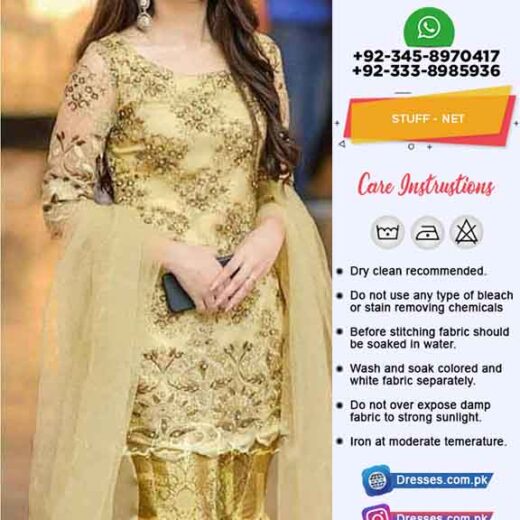 Pakistani Net Dresses Online