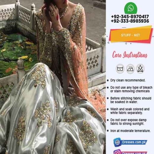 Pakistani Bridal Clothes 2020