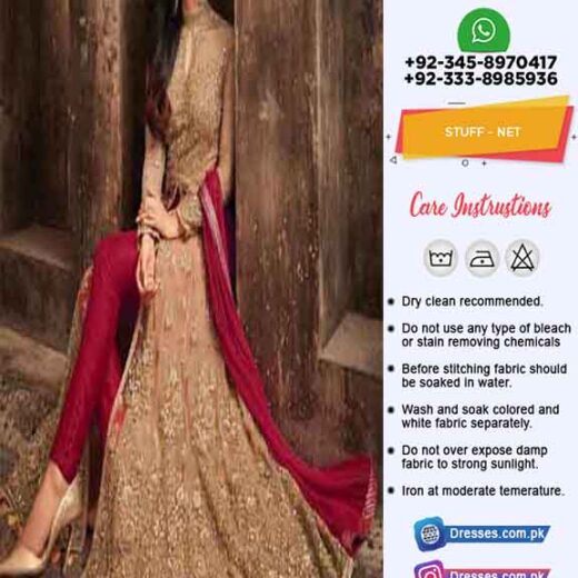 Pakistani Bridal Wear Collection