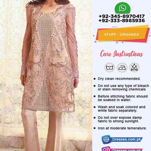 Pakistani Organza Dresses Online