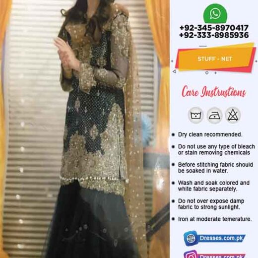 Pakistani Latest Net Dresses Online