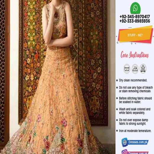 Pakistani Net Bridal Collection 2020