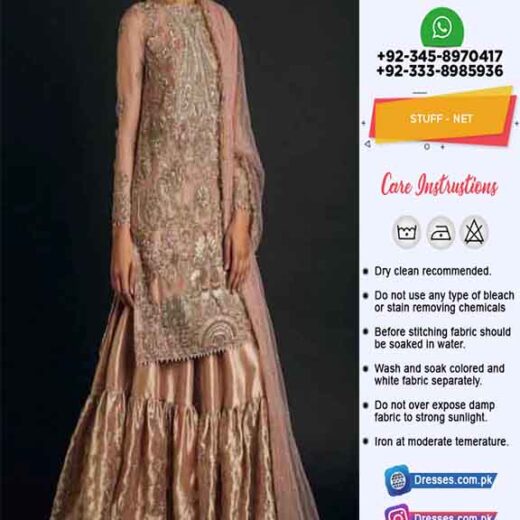 Zara Shahjahan Latest Net Dresses