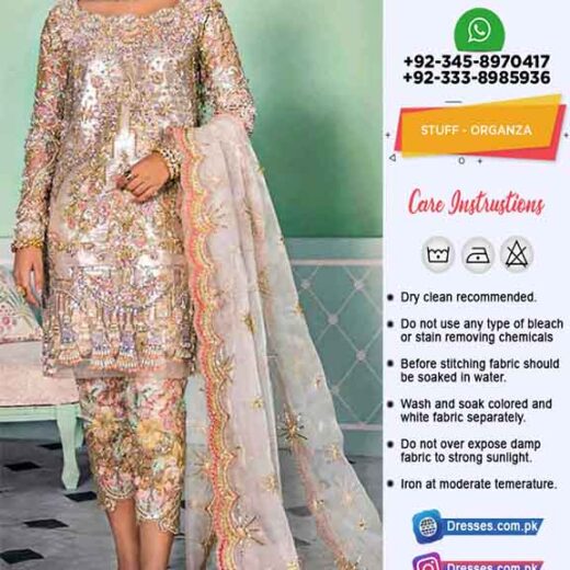 Pakistani Bridal Organza Dresses 2020