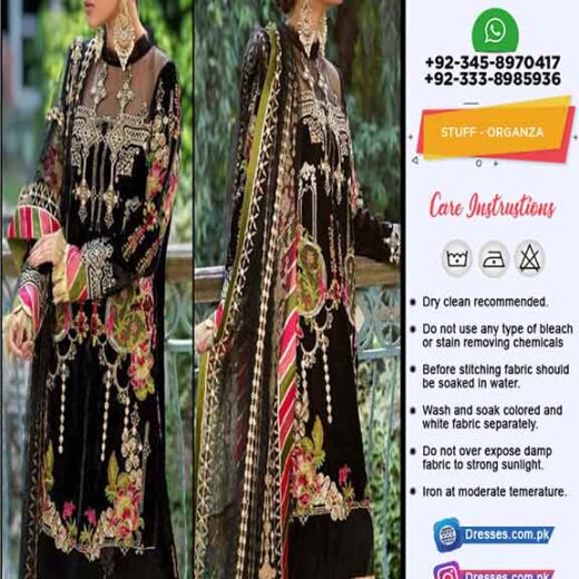 Asifa Nabeel Organza Dresses Online