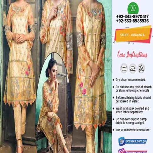 Pakistani Organza Dresses Online