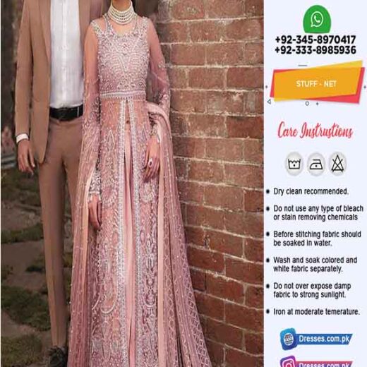 Pakistani Bridal Net Dresses 2022