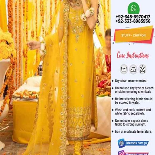 Pakistani Chiffon Dresses Online