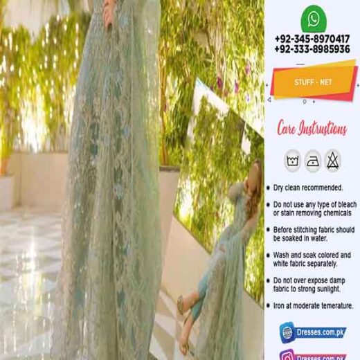 Pakistani Bridal Net Dresses 2022