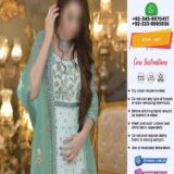 Pakistani Bridal Net Dresses 2023