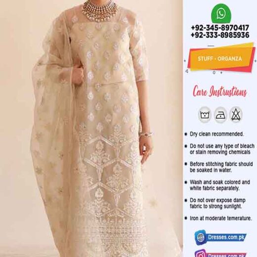 Pakistani Bridal Collection 2024